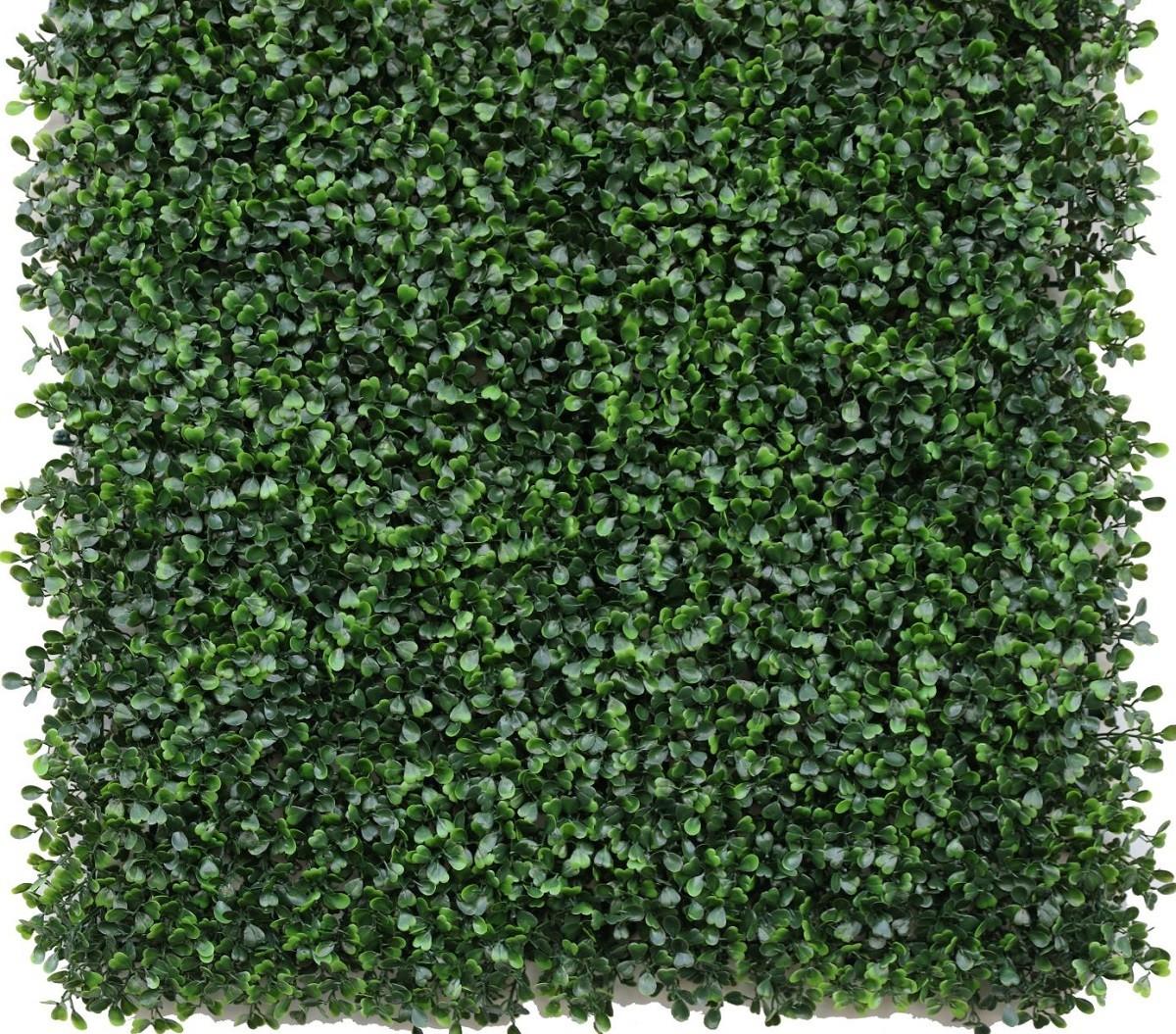 Plasa decorativa gard Greentech Boxwood Green 50x50cm (17211G)