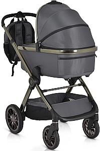 Carucior 2 in 1 Moni iClick Gray