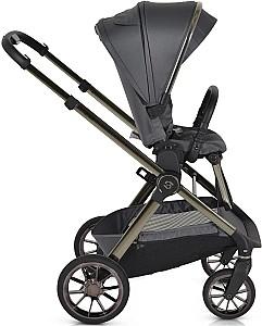 Carucior 2 in 1 Moni iClick Gray