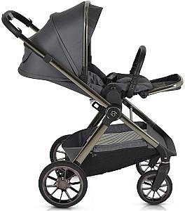 Carucior 2 in 1 Moni iClick Gray