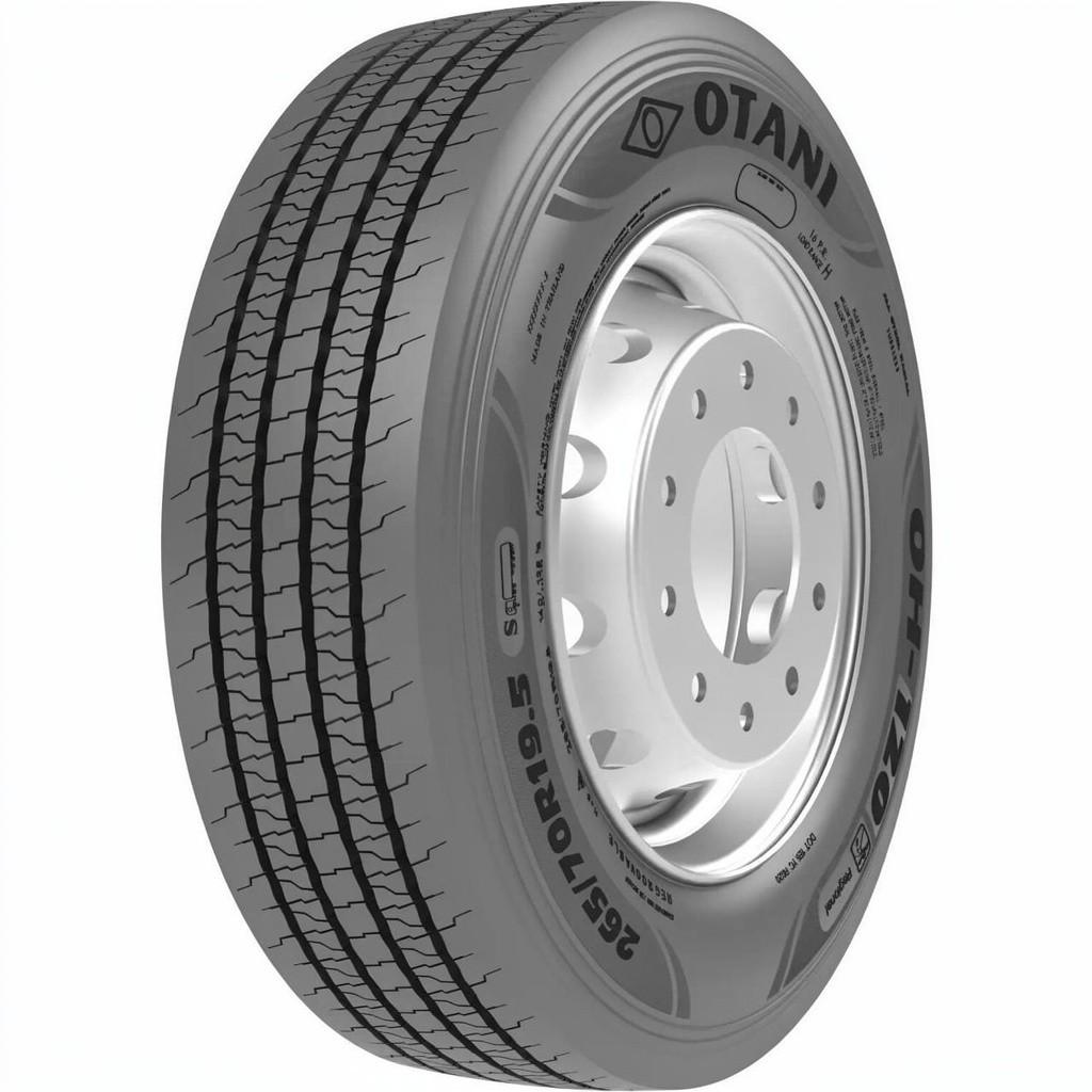 Anvelopa camion OTANI 305/70R19.5 148/145M OH120 18PR Steer m+s