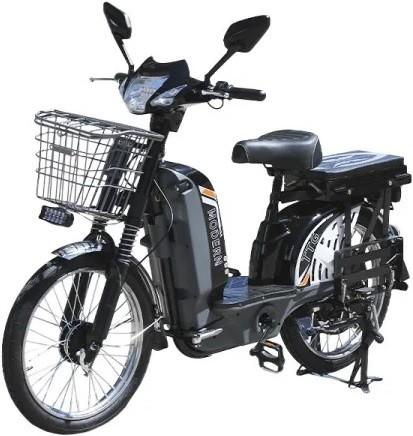 Bicicleta electrica TT AGRO MOTO Modern EB-005