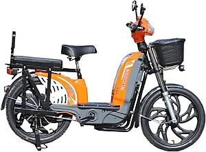 Bicicleta electrica TT AGRO MOTO Modern EB-003