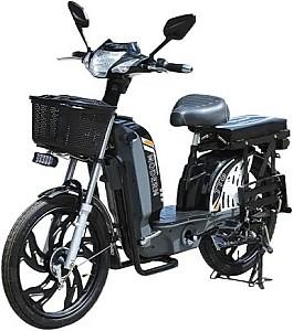 Bicicleta electrica TT AGRO MOTO Modern EB-001