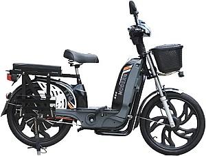 Bicicleta electrica TT AGRO MOTO Modern EB-001