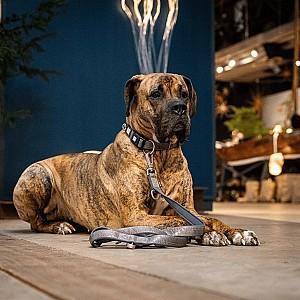 Zgarda pentru caini Max & Molly Matrix 2.0 Stone L (302084)