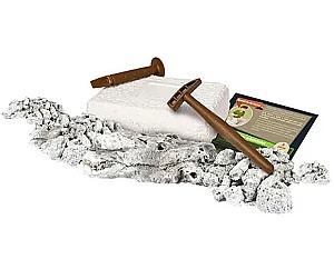 Set de cercetare pentru copii AS Company Dinozaur T-Rex RO (1026-50908)