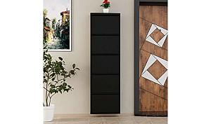 Dulap pentru incaltaminte Trendy 5 Piece Metal