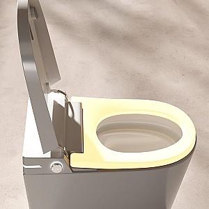 Vas WC NOMI Smart 953E Tornado