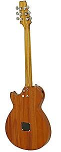 Chitara electro-acustica Aria Pro II APE-100 TS