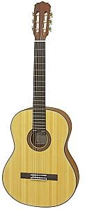 Chitara clasica Aria A-10 MTN
