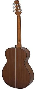 Chitara acustica Aria AF-10 TS