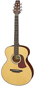 Chitara acustica Aria AF-10 N