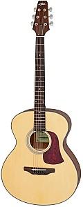 Chitara acustica Aria AF-10 MTN