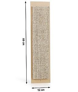 Ansamblu pentru pisici Beeztees Jumbo+Catnip (405225)