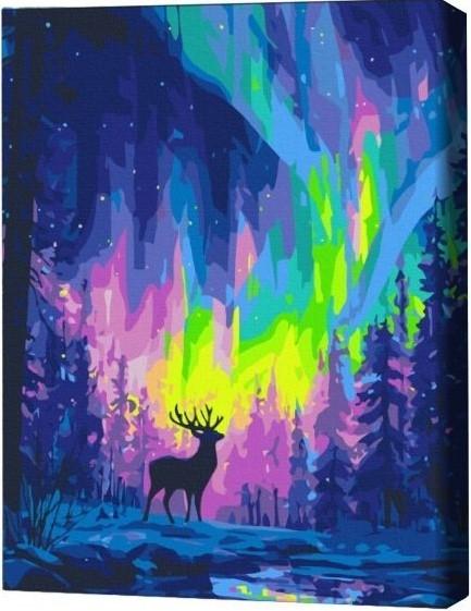 Tablou pe numere BrushMe Aurora polară (în cutie)