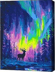 Tablou pe numere BrushMe Aurora polară (în cutie)