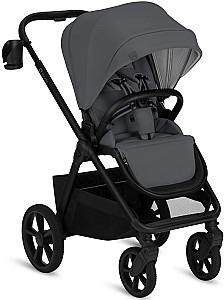 Carucior 2 in 1 Lionelo Carmine Grey Stone