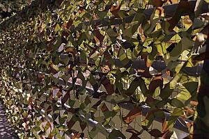 Plasa camuflata Greentech Camo Green 21013 1x3m