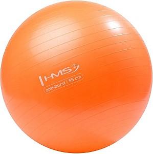 Minge HMS YB02 Orange