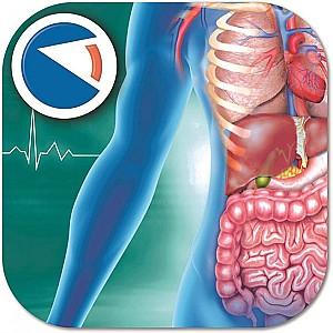 Set de cercetare pentru copii Clementoni Super Anatomy (75104)