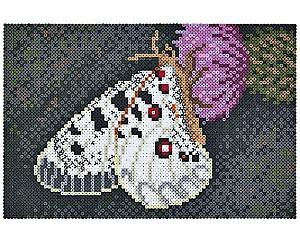 Mozaic Hama Buterfly (3605)