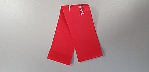 Expander YAKIMASPORT 100248 Red