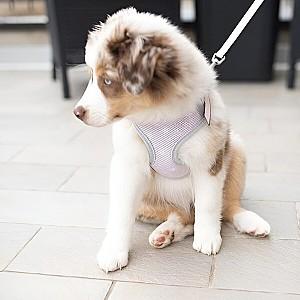 Ham pentru caini Ferplast NIKITA P Puppy XS