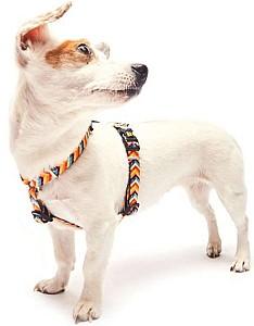 Ham pentru caini Max & Molly Summertime 125013 XS