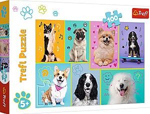Puzzle Trefl 16421