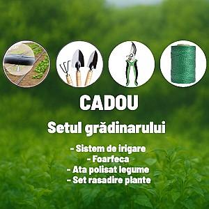 Seră de tip tunel Demetra 4m-3 m-2.25m (66406)