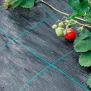 Peliculă pentru sere Profmet Agrotextil 100g/m2 1mx100m Black