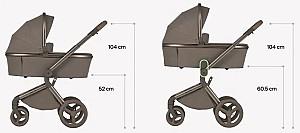 Carucior 2 in 1 Anex Flo Lungo