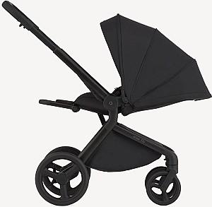 Carucior 2 in 1 Anex Flo Lungo