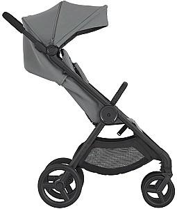 Carucior 2 in 1 Anex All in One IQ Loft