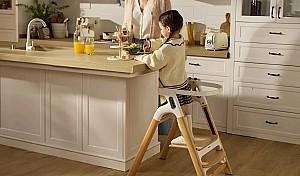 Scaun de masa multifunctional Momcozy DinerPal