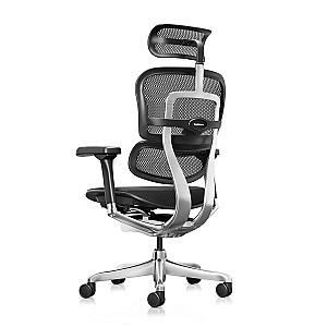 Fotoliu de birou Comfort Ergohuman Elite 2 Black (mesh/fabric)