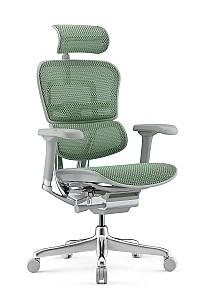 Fotoliu de birou Comfort Ergohuman Elite 2 Green