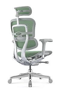 Fotoliu de birou Comfort Ergohuman Elite 2 Green