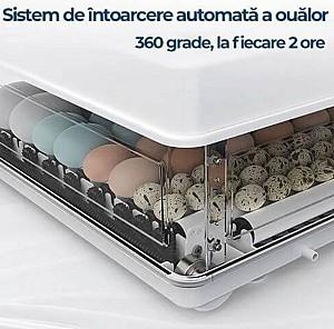Incubator Tehno Ms MS-130 cu sticle și supape