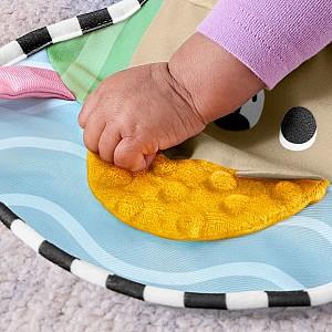Jucarie bebelus Fisher  price JHB44