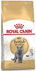 Нrană uscată pentru pisici Royal Canin British Shorthair Adult 10kg